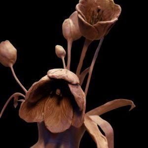 Kim Bernadas - Florals and Botanicals