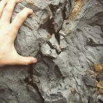 Zach Sierke_Connecting with Wild Clay