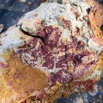 Zach Sierke_Connecting with Wild Clay