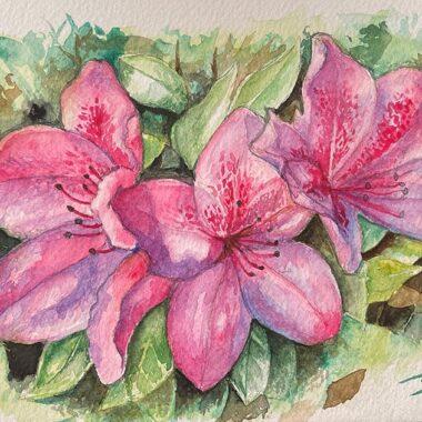 Azaleas_Trey Peaden