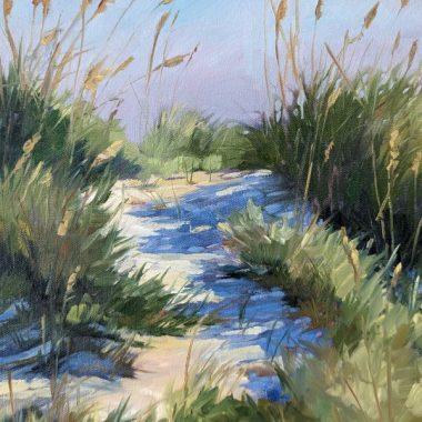 Dune Shadows Robin Popp