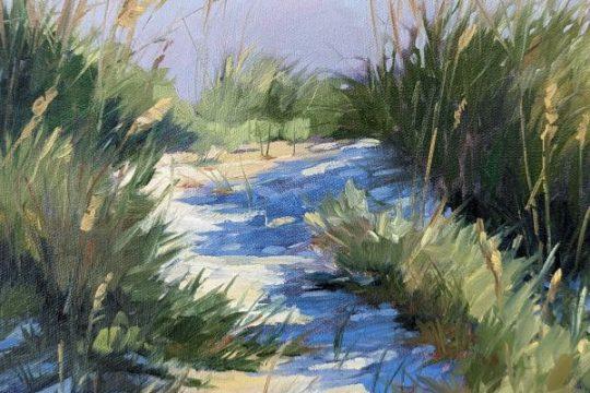 Dune Shadows Robin Popp