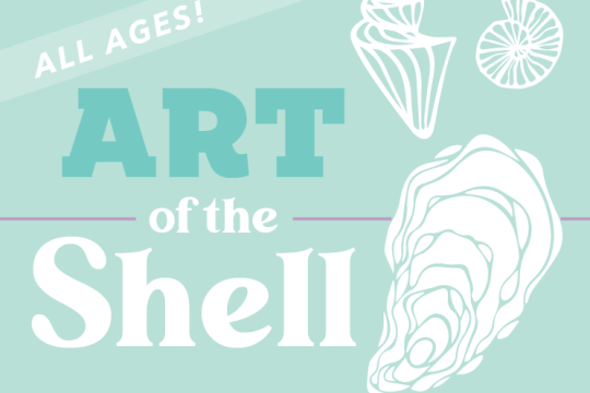Art of the Shell
