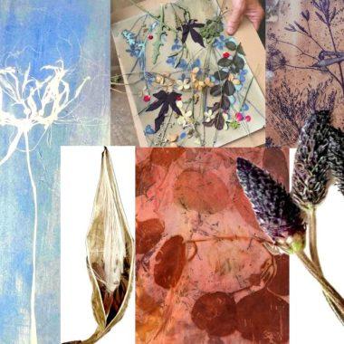 Botanical Printmaking Bryant Whelan