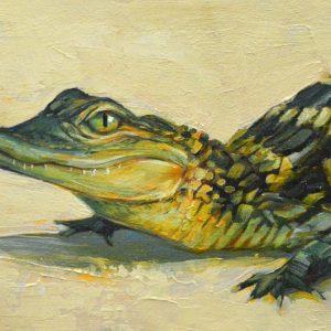 Baby Gator by Cat Pope