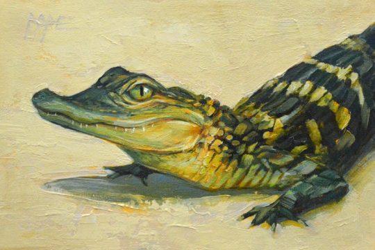 Baby Gator by Cat Pope