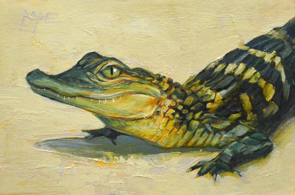 Baby Gator by Cat Pope