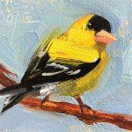 Black and Yellow Bird by Cat Pope