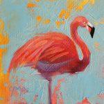 Flamingo by Cat Pope