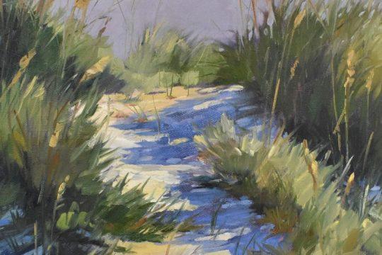 Robin Popp Dune Shadows