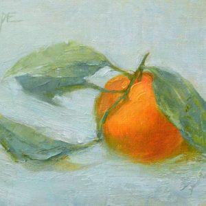 Satsuma Study by Cat Pope
